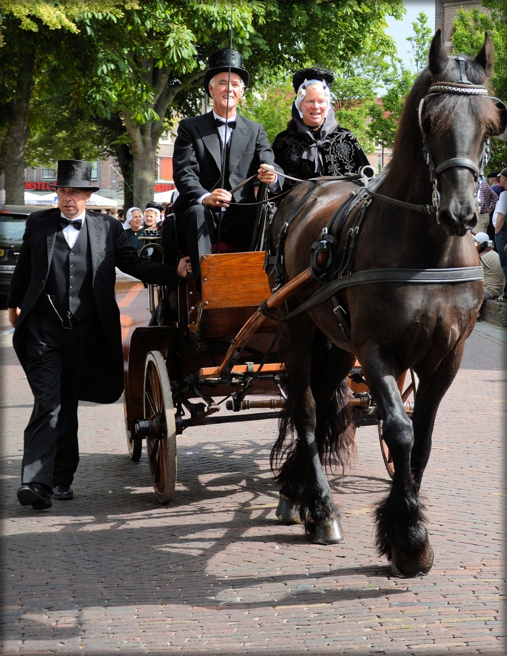 Volendam 7