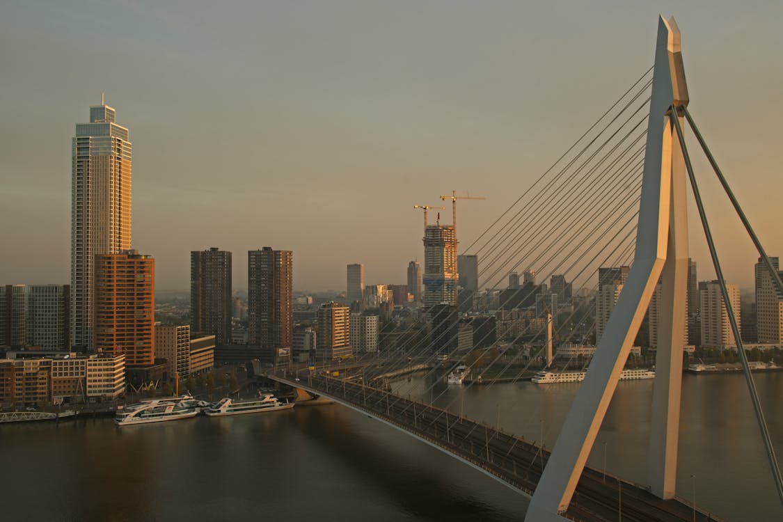 DeHagueRotterdam-07