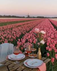Keukenhof 1