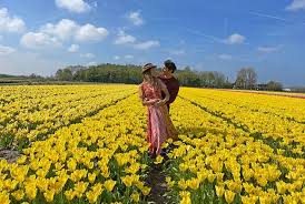 Keukenhof 2