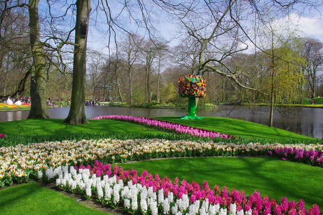 Keukenhof 3