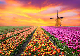 Keukenhof descarga2