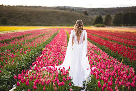 Keukenhof descarga3